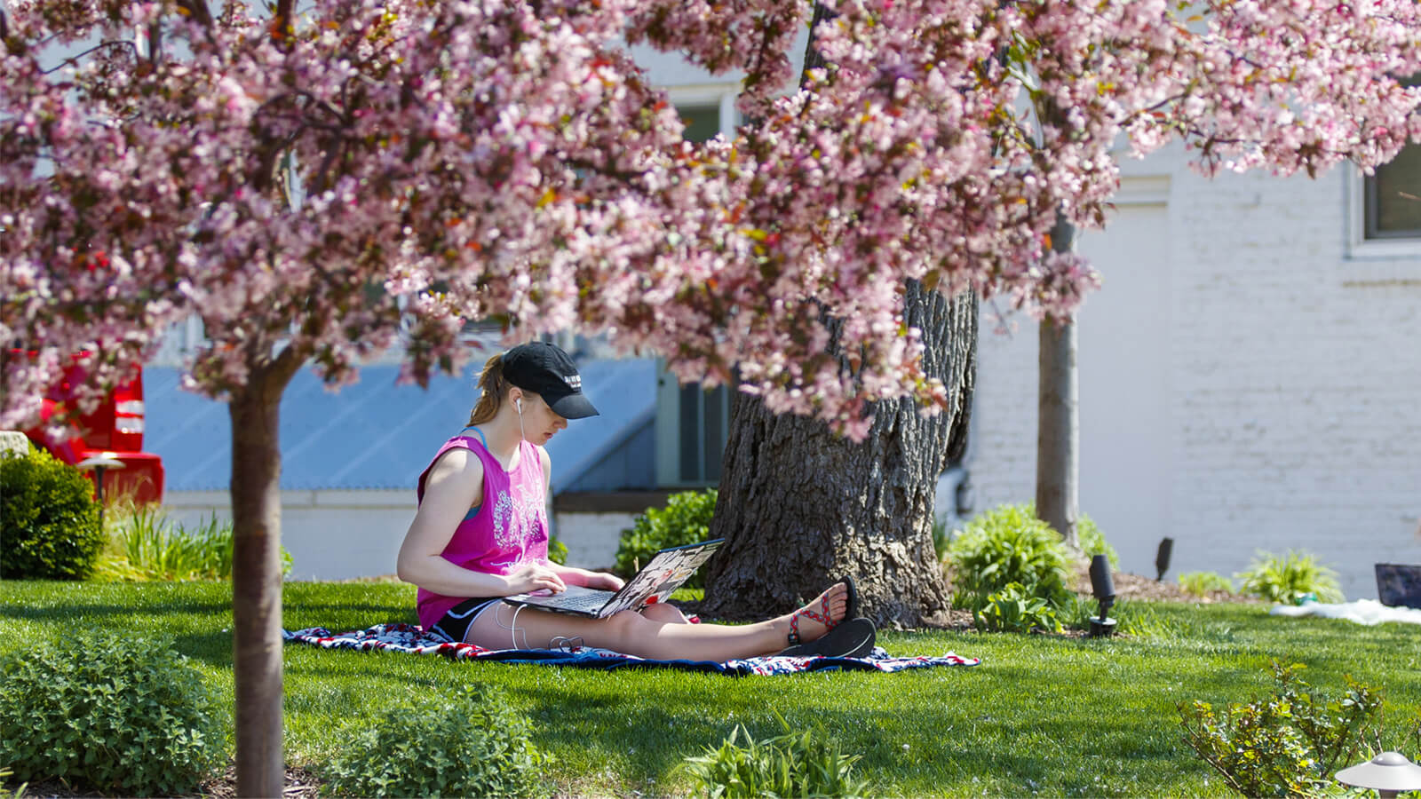 Student sitting on blanket outside studying in the sun