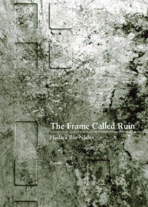 The Frame Called ruin book cover