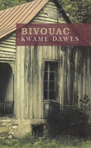 Kwame Dawes