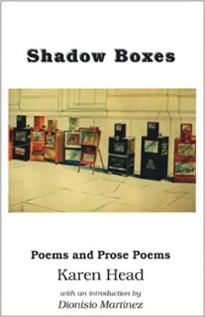 Shadow boxes book cover