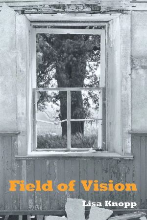 Field of Vision book Cover