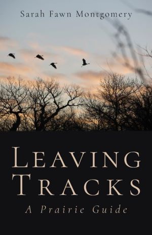 Leaving Tracks book cover