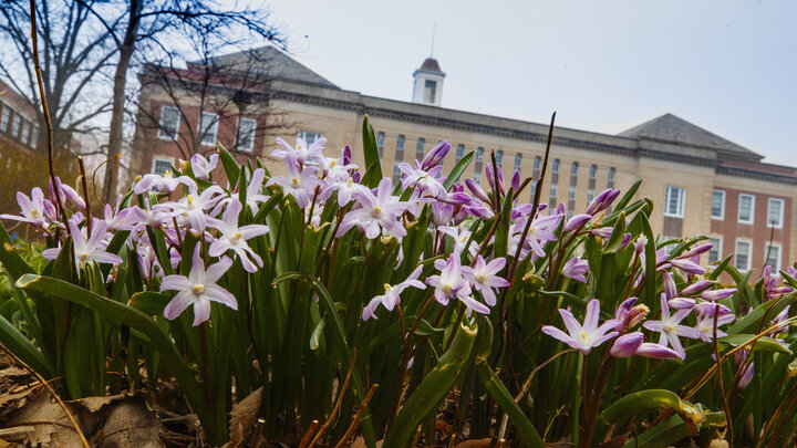 Campus Love Library