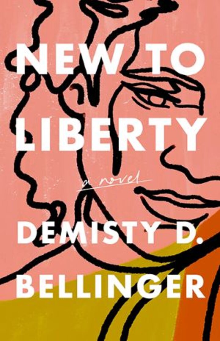 New to liberty book cover