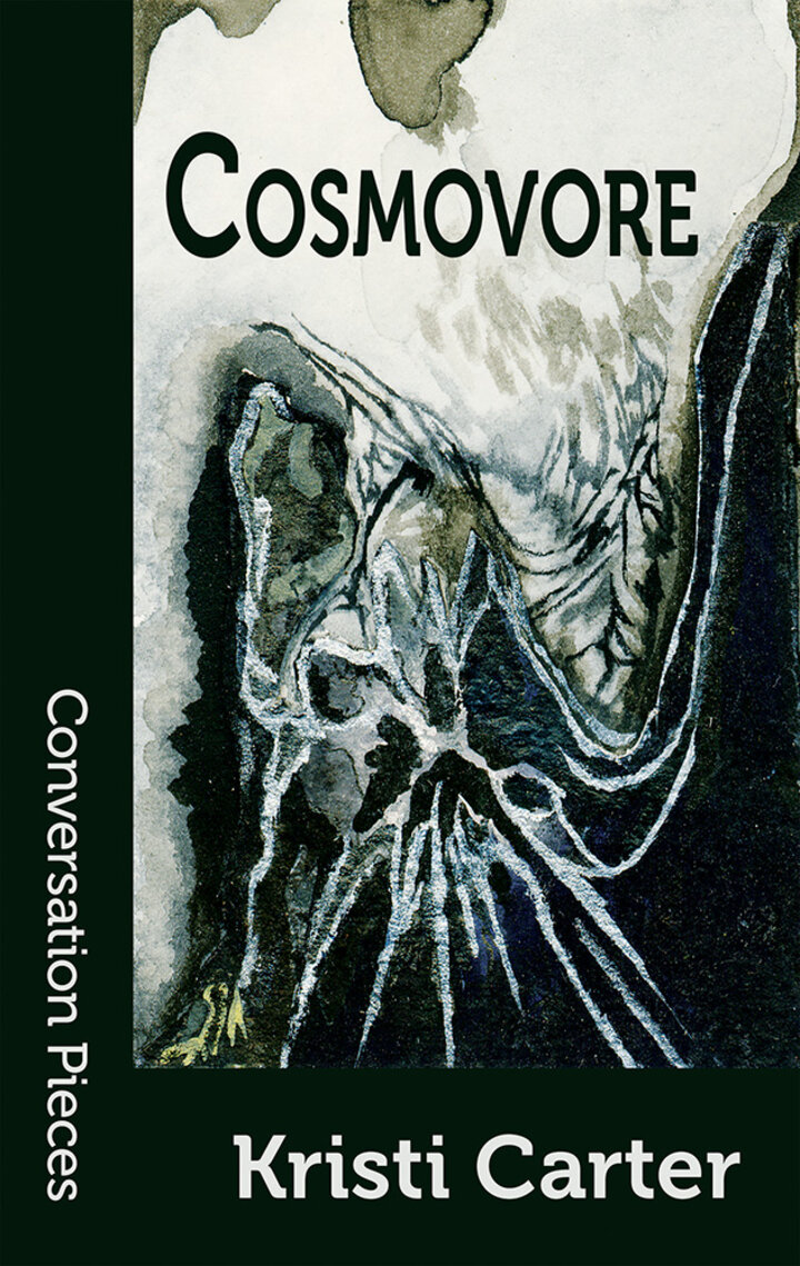 Cosmovore book cover