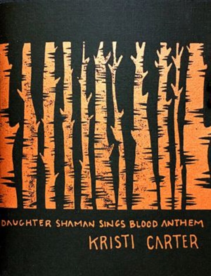 Daughter Shaman Book Cover
