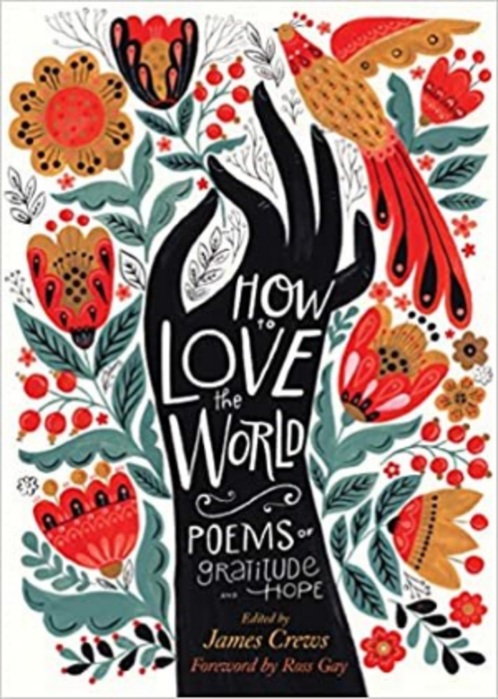 How to love the world book cover