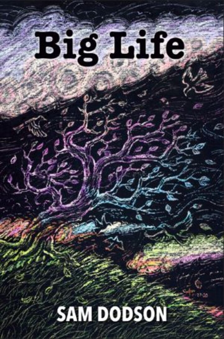 big life book cover