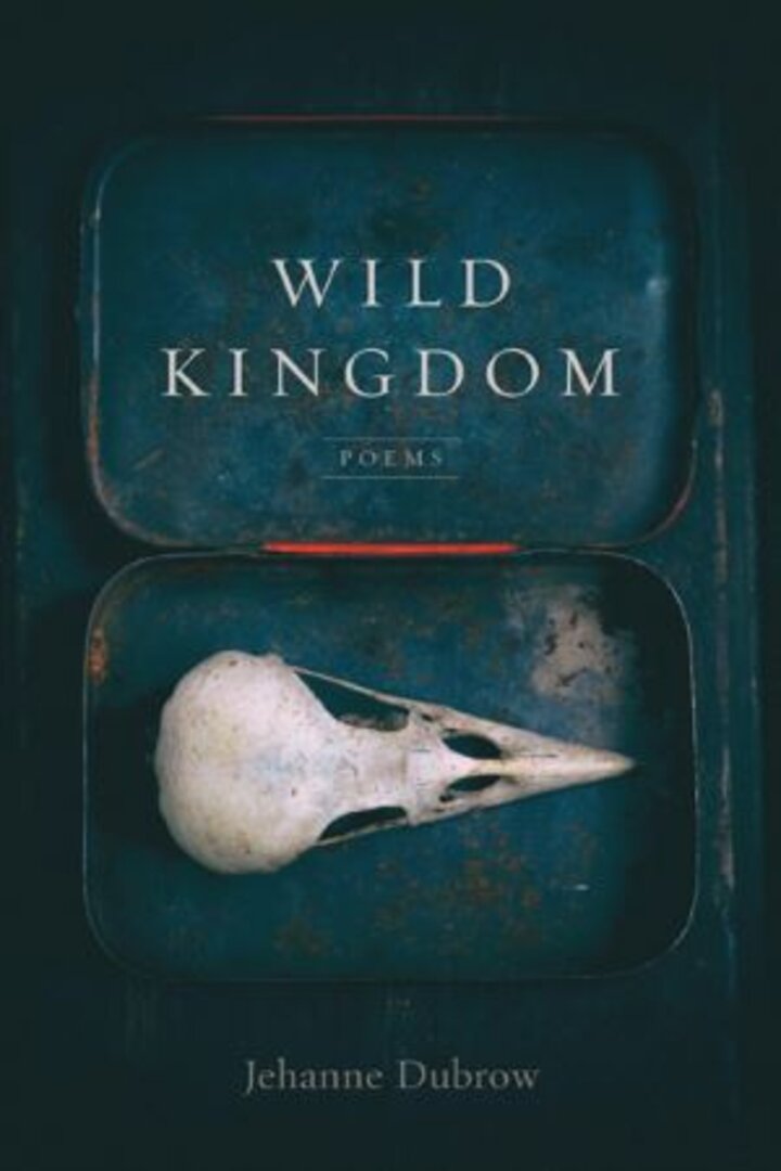 wild kingdom book cover