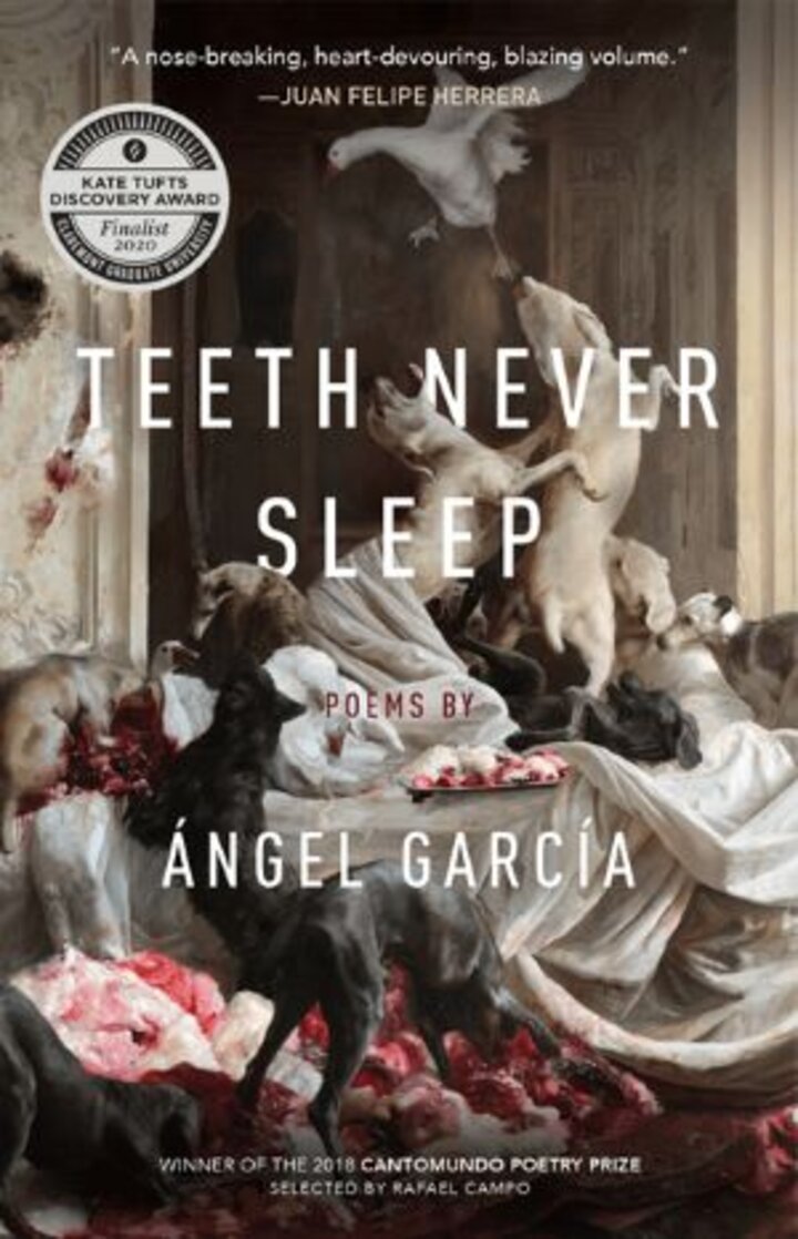 Teeth Never Sleep