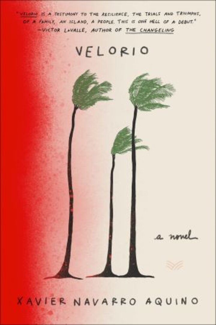 Velorio book cover