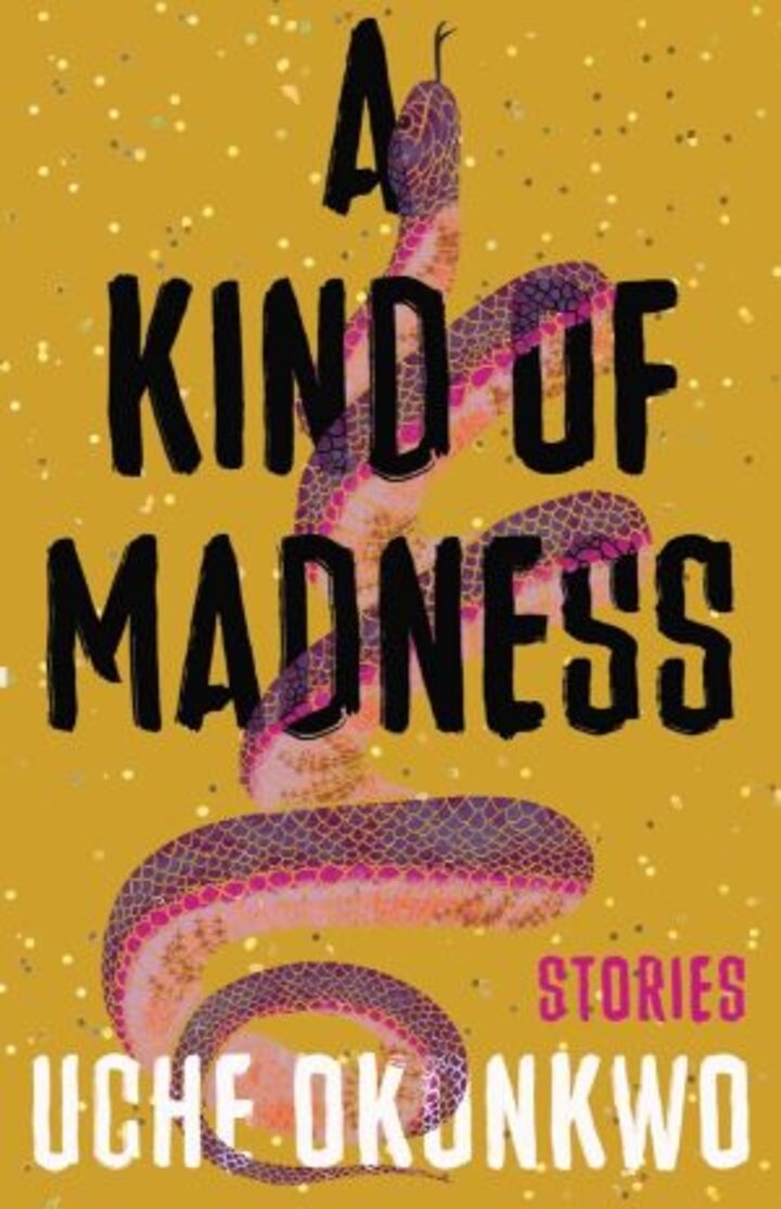 A Kind of Madness Book Cover