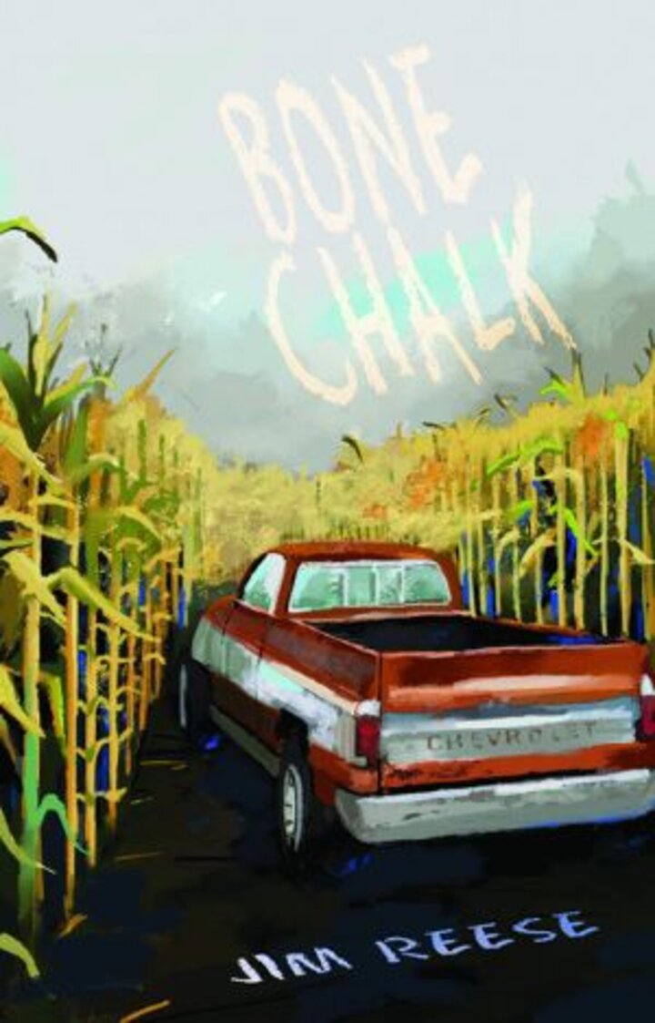 Bone chalk book cover