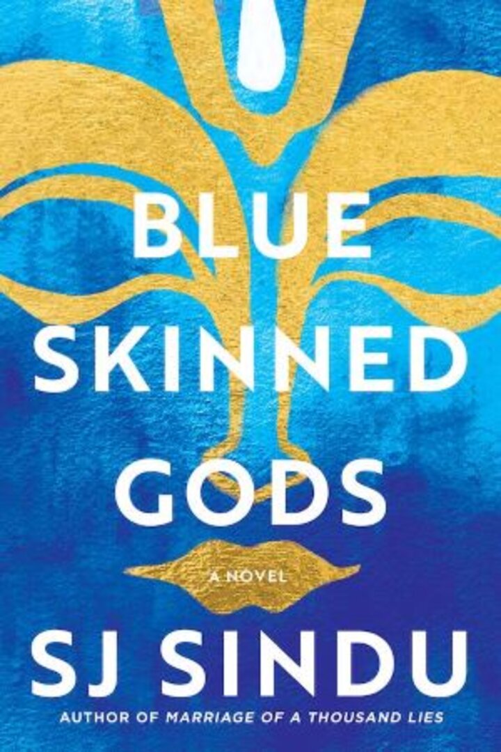 Blue Skinned Gods book cover